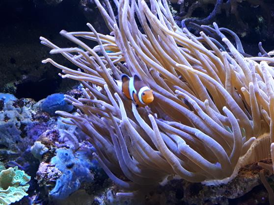 20180224_144129.jpg